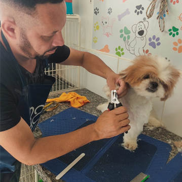 Freepik imagem Limpeza auricular